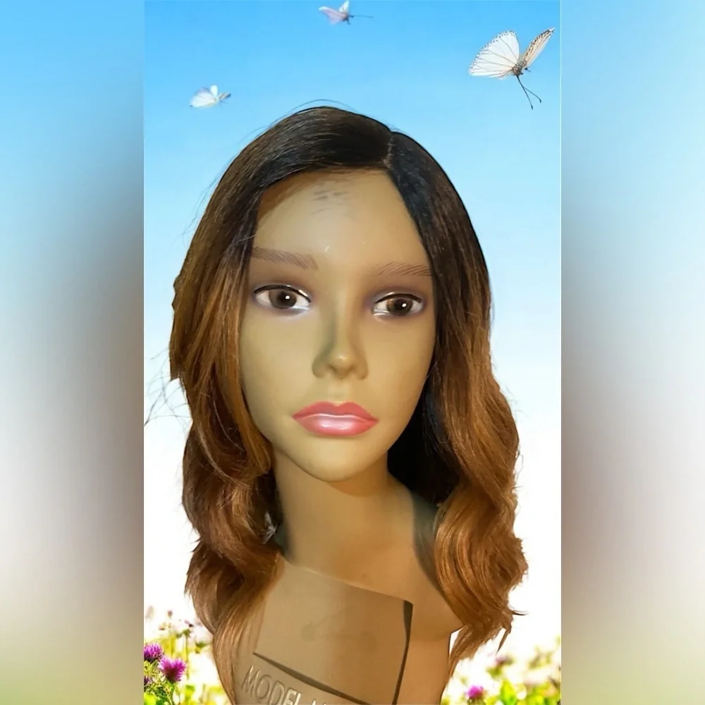 Elegant Brown Ombre Wig